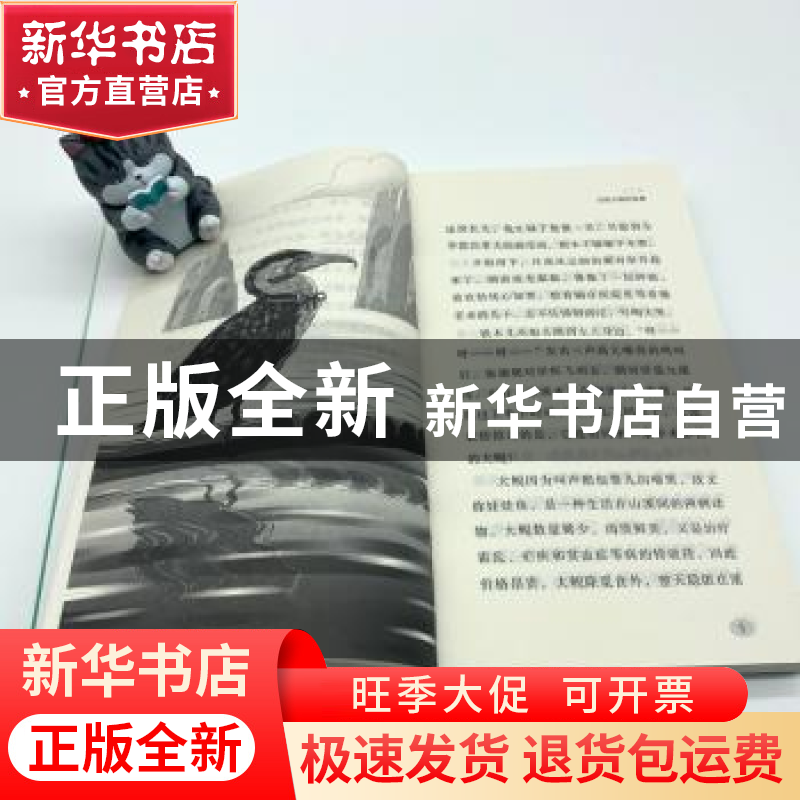 正版 牧羊犬与羊王 沈石溪著 山东画报出版社 9787547438428 书籍