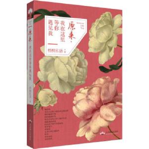 正版新书]原来,我在这里等你遇见我(浪漫军旅温暖治愈小说!他