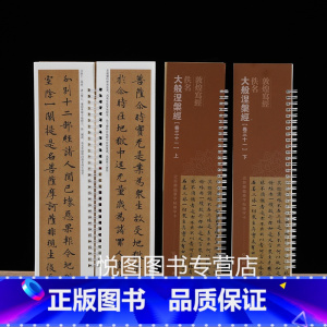 大般涅槃经(卷三十一)上下2册 [正版]敦煌写经妙法莲花经兜沙经大般涅槃经 近距离临摹字帖练字卡原大碑帖全文毛笔字帖书法
