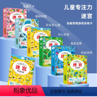 [套装]迷宫卡全套6盒 [正版]儿童可擦写迷宫卡3到6岁幼儿园早教益智玩具专注力训练闯关迷宫卡