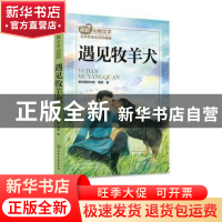正版 遇见牧羊犬 格日勒其木格·黑鹤 著 化学工业出版社 97871223