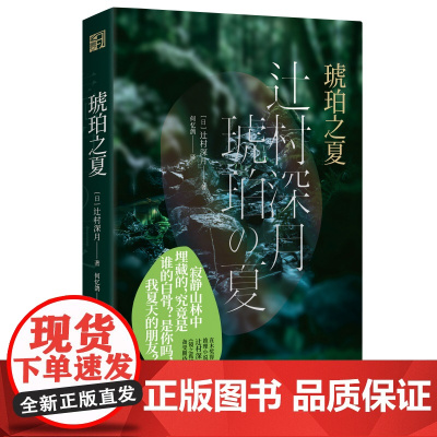 琥珀之夏 [日]辻村深月 正版书籍小说书 《镜之孤城》作者新作 暗祓 日式推理长篇小说 悬疑浙江文艺出版社