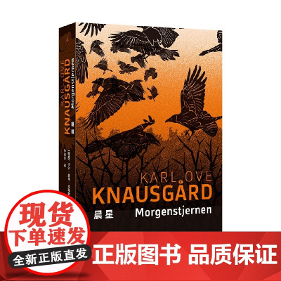 晨星 卡尔·奥韦·克瑙斯高 著 小说