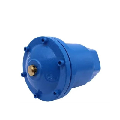 伟鹏双兴 蓝色铸铁丝扣排气阀 DN25 台