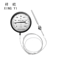 祥屹 压力式温度计 WTQ280 160度 5M线长 个