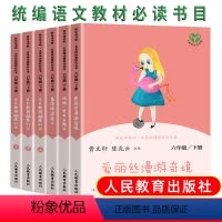 [正版]快乐读书吧六年级下册全套鲁滨逊漂流记爱丽丝漫游奇境汤姆索亚历险记尼尔斯骑鹅旅行记 小学生6下同步课外阅读书目人