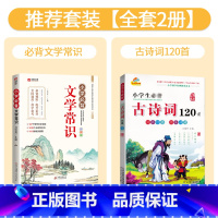[全套2册]文学常识+古诗词120首 小学通用 [正版]小学必背文学常识积累大全彩图版一二三四五六年级语文文学常识基础知
