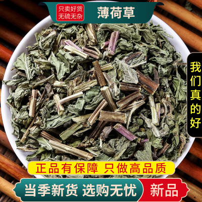 薄荷草100克干货新货正品干薄荷泡水泡茶正品新货薄荷梗薄荷叶9260