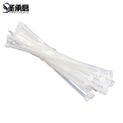 圣承启 尼龙束带 10*400mm根