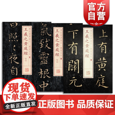 王羲之黄庭经 一二三 书法经典放大 铭刻系列 书法碑帖 篆刻字帖 毛笔字书法自学教材 正版书法字帖 上海书画出版社 世纪