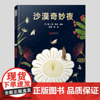 沙漠奇妙夜(正版硬壳精装)劳拉霍桑生命系列儿童绘本3三-4-5到6岁以上幼儿园大中小班宝宝孩子早教阅读睡前启蒙故事图画书