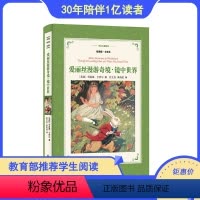 [正版]新版译林名著精选爱丽丝漫游奇境·镜中世界(世界儿童文学史上的里程碑 维多利亚女王、奥斯卡·王尔德奉为经典 插图