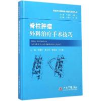 正版新书]脊柱肿瘤外科治疗手术技巧李建民 等9787509180204