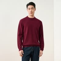 [100%羊毛]恒源祥羊毛衫男2024冬季气质男士针织衫半高领毛衣