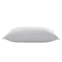 以雅以南 枕芯 45CM*75CM 个