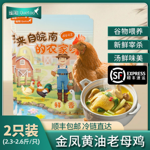 [苏鲜生推荐]雀淘 皖南金凤黄油老母鸡2.3-2.6斤/只 2只装 新鲜现杀冷冻净膛农家竹林慢养走地鸡