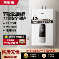 万家乐 12升热水器燃气热水器燃热 智能恒温 热水器天然气 12DP1