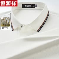 恒源祥男长袖t恤羊毛秋装新款翻领polo打底衫休闲商务爸爸装上衣