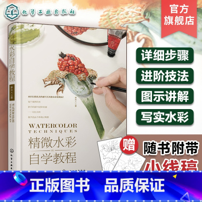 [正版]赠线稿 精微水彩自学教程 水彩画精微水彩起稿上色步骤详解 水彩画技法进阶教程 茅夫人水彩绘画干货教程 零基础初