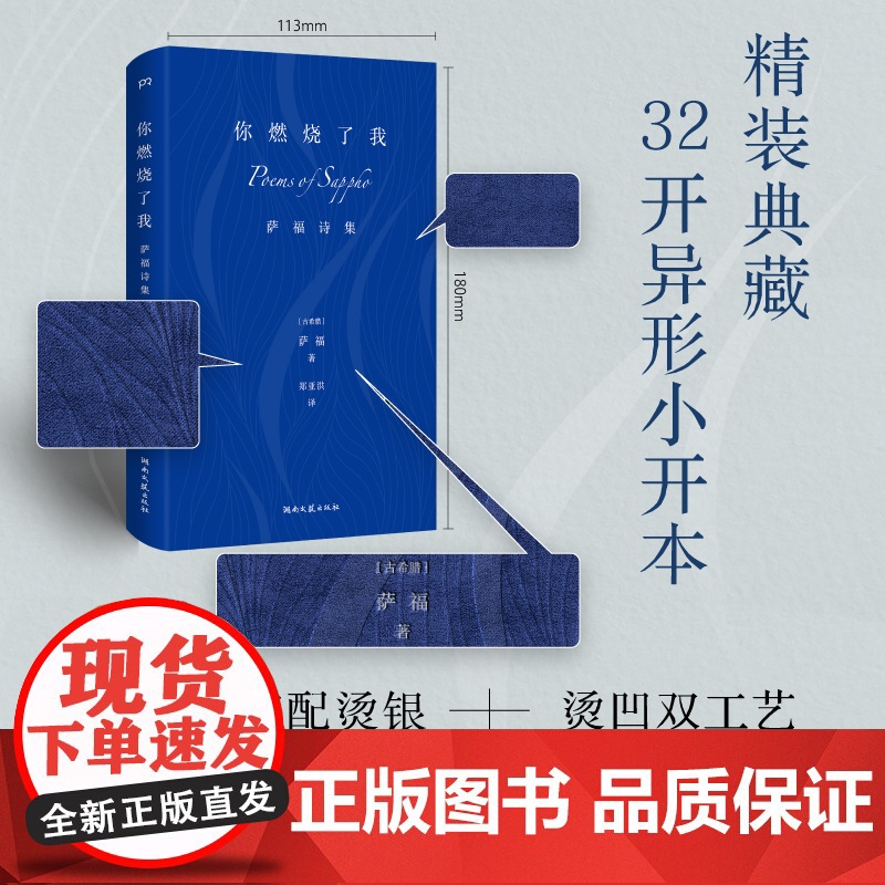 店正版 你燃烧瞭我:萨福诗集 丝绒布面精装 欲 婚姻 衰老 时间 女诗人 安妮·卡森 推崇外国诗歌文学 抒情的诗