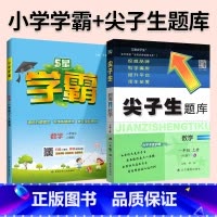 难度升级[尖题+学霸]数学 人教版 2本 五年级下 [正版]2024春尖子生题库二三年级四五年级六一年级上下册数学语文人