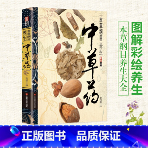 绘图解本草纲目养生中草药 [正版]彩绘图解 本草纲目养生 中草药 本草纲目精编中草药李时珍版中草药彩图大全书本草纲目原版