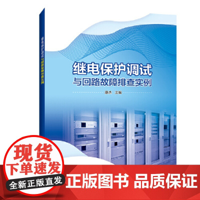 继电保护调试与回路故障排查实例 中国电力出版社 正版书籍
