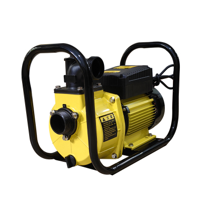 泉有 大流量自吸电泵