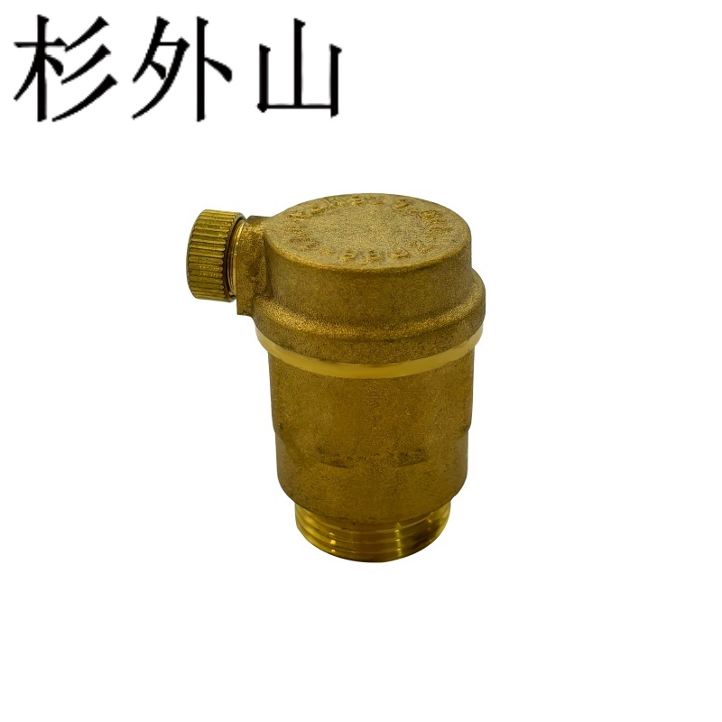 杉外山 全铜平口排气阀 自来水放气阀 个