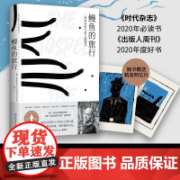 鳗鱼的旅行2025版 帕特里克•斯文松 第十六届文津图书奖图书!深圳两大博物奖获奖图书!优雅精装,多幅量身定制的艺术插画