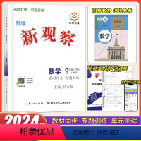 数学 九年级下 [正版]2024版 思维新观察课时作业专题训练九年级下册数学人教版 初中初三9年级下册数学同步课堂培优题