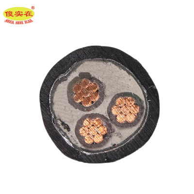 傻实在 电缆 国标全项保检 YJV22 3*10mm² 米