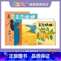 23年10月[智力+绘本+科学+数学]单月刊 [正版]童书东方娃娃杂志23年11月10月9月8月7月6月5月智力/绘本/