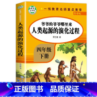 [人教版]人类起源的演化过程 [正版]十万个为什么四年级下册 苏联米伊林人民教育出版社快乐读书吧必读的课外书 曹文轩人教