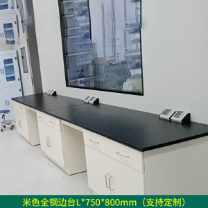 DXBG全钢实验台钢木PP边台柜试验台化验室工作台实验室桌操作台定制(每米单价)[工厂现做 7天内发货]