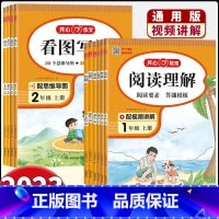 看图写话 二年级下 [正版]看图写话说话专项训练一年级二年级上册下册小学三年级阅读理解强化训练语文范文大全思维导图阅读要