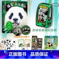 福宝,永远爱你 [正版]专享赠品+首刷特典福宝 永远爱你 熊猫福宝图文写真集 姜爷爷 给福宝的送别之书 图书书籍漫画福宝