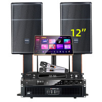 山水(SANSUI)大功率家用电视卡拉OK套装环绕影院电视重低音炮K歌音响 SQ12专业箱+功放+效果器+话筒+点歌机