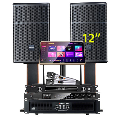 山水(SANSUI)大功率家用电视卡拉OK套装环绕影院电视重低音炮K歌音响 SQ12专业箱+功放+效果器+话筒+点歌机