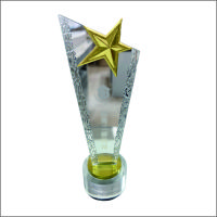 虹和美 水晶奖牌2