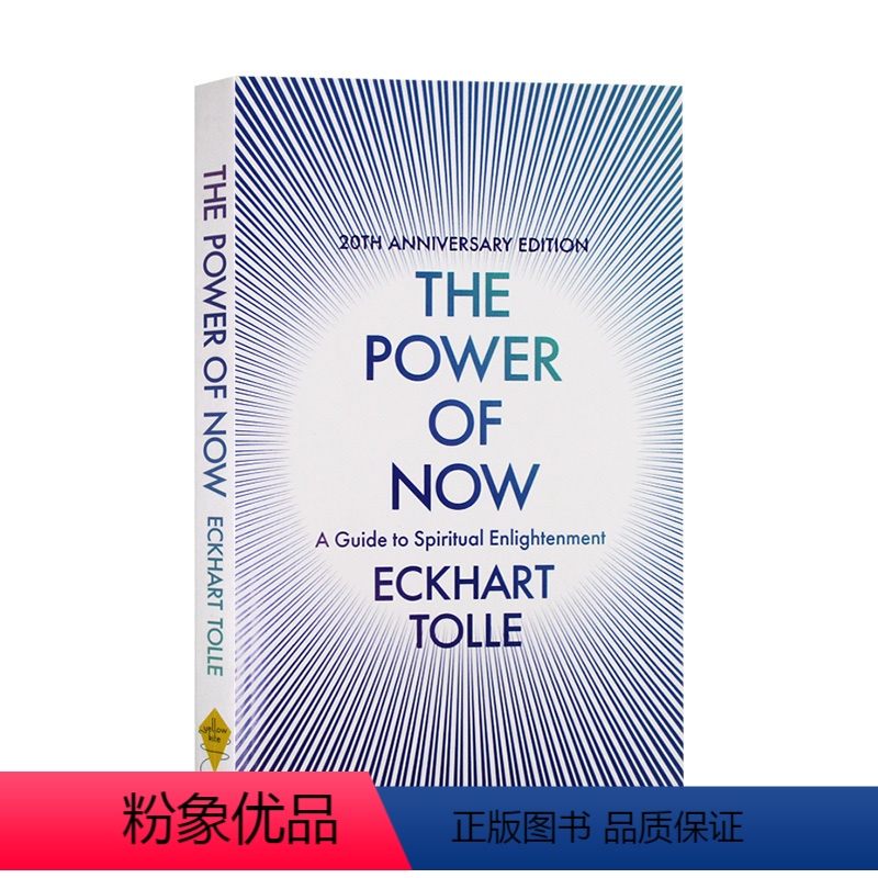 当下的力量 [正版]去情绪化管教 英文原版 No Drama Discipline 帮助孩子养成高情商 有教养的大脑 D
