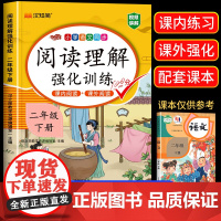 2025版[课内阅读+课外阅读]二年级下册阅读理解训练题人教版同步练习册语文阅读专项训练书部编版小学2年级下学期课堂笔记