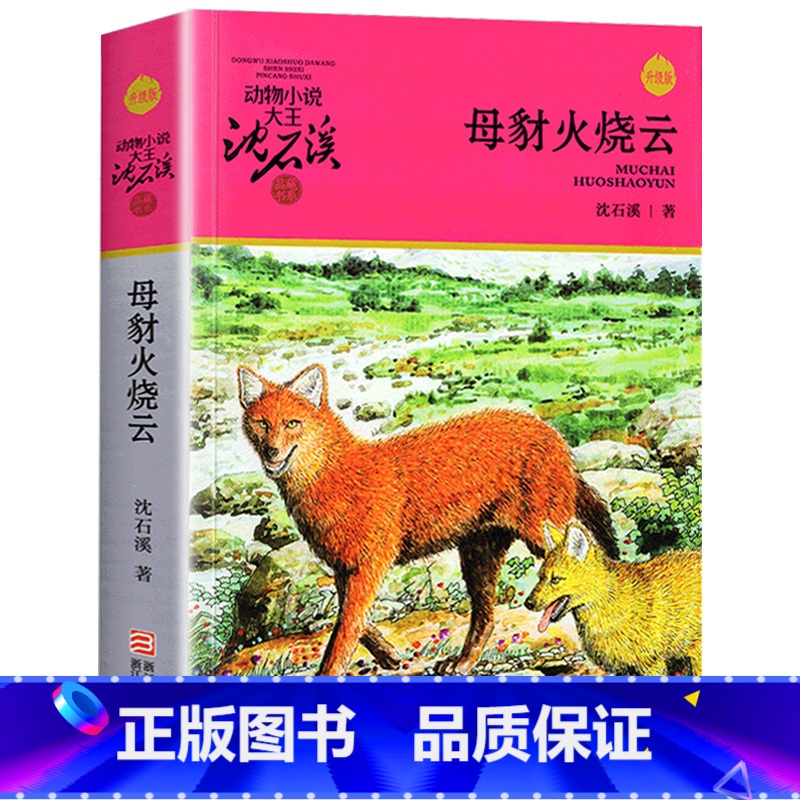 母豺火烧云 [正版] 后一头战象 沈石溪动物小说全集狼王梦斑羚飞渡四五六年级10-12-15岁中小学生课外阅读文学故事书