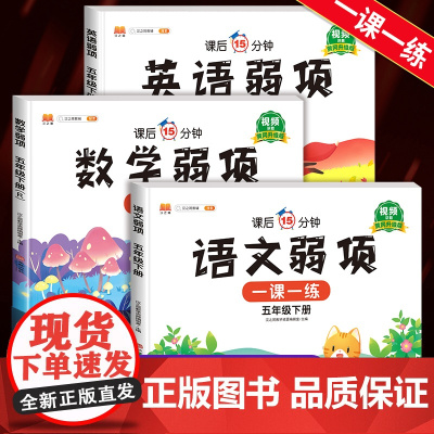 2025版 五年级下册弱项一课一练同步练习册人教部编版小学5年级下学期全套语文数学英语必刷题语数英黄冈升级版试卷测试卷学