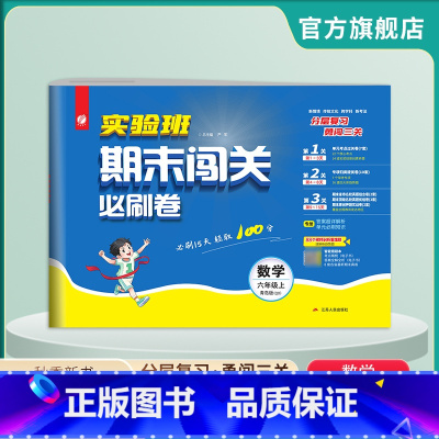 数学 六年级上 [正版]2024年秋 新版小学数学期末闯关六年级上册青岛版 六年级上册试卷数学QD小学期末冲刺100分同