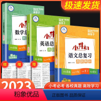 [三本]语文+数学+英语总复习真题集训 小学升初中 [正版]2024新版 小升初语文总复习特训 小学一1二2三3四4五5