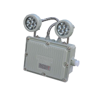 领航电器(LHDQ) LHB1113A/G 2×1W 220V IP65 冷光 90min 防爆应急灯 灰色