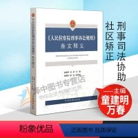 [正版]2020新书 人民检察院刑事诉讼规则条文释义 童建明 万春 刑法执行 刑事司法协助 社区矫正 法律书籍 中国检