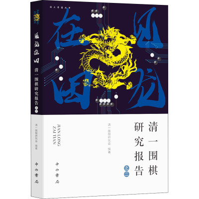 见龙在田 清一围棋研究报告之二