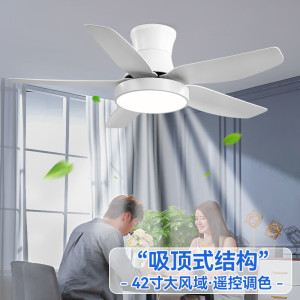 雷士照明家用餐厅客厅吊扇灯风扇吊灯简约现代电扇灯隐形风扇灯具